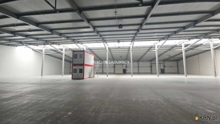 Lokal użytkowy  do wynajęcia, Niepołomice, ul. Grabska, 