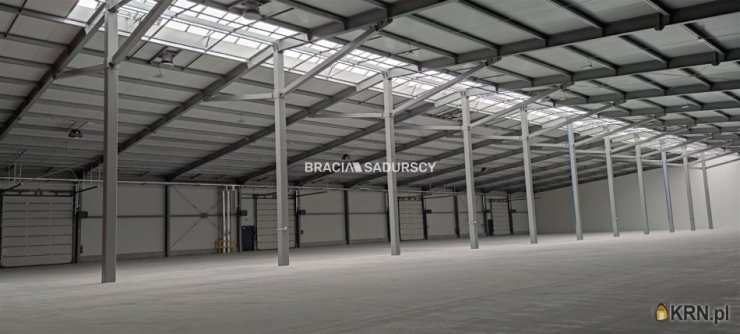 Lokal użytkowy  do wynajęcia, , Niepołomice, ul. Grabska