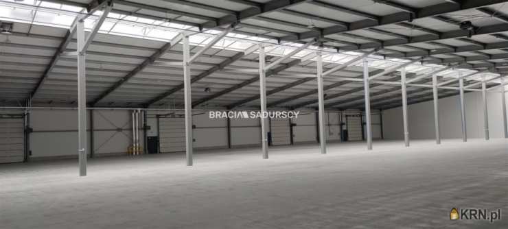 , Niepołomice, ul. Grabska, Lokal użytkowy  do wynajęcia