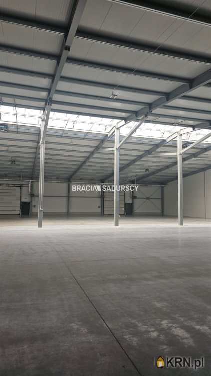 , Niepołomice, ul. Grabska, Lokal użytkowy  do wynajęcia