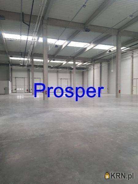 Lokal użytkowy  do wynajęcia, , Gliwice, ul. 