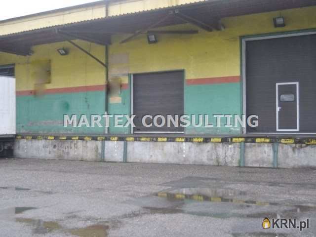 Wodzisław Śląski, ul. , Lokal użytkowy  do wynajęcia, 