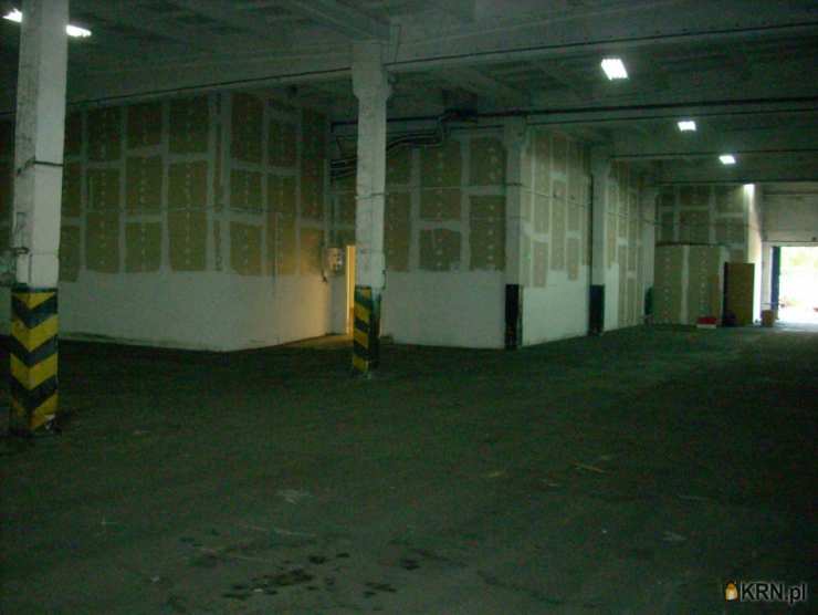 Lokal użytkowy  do wynajęcia, Radom, ul. Chorzowska, 