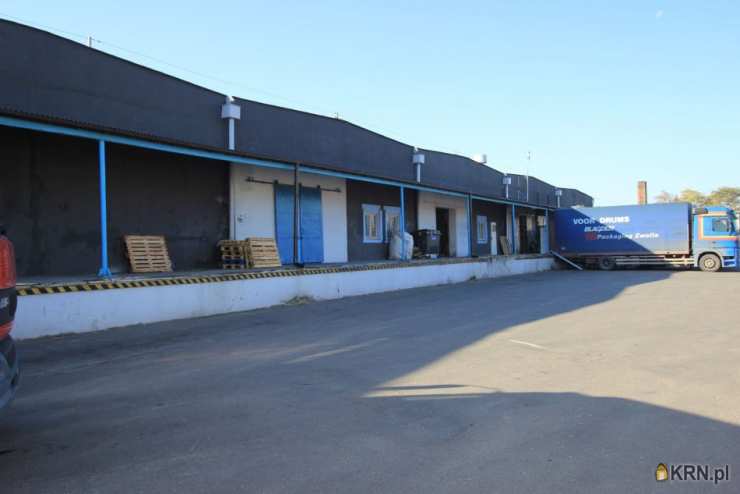 Lokal użytkowy  do wynajęcia, , Radom, ul. Chorzowska