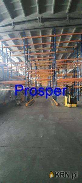 Tychy, ul. , Lokal użytkowy  do wynajęcia, 