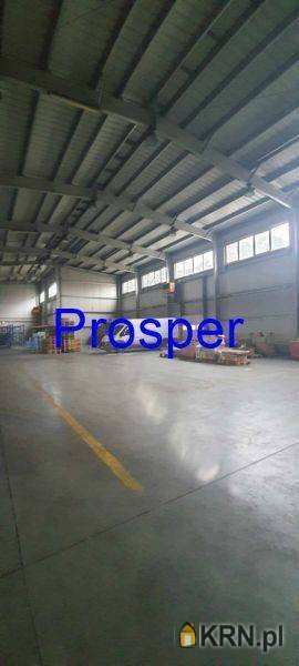 Tychy, ul. , , Lokal użytkowy  do wynajęcia