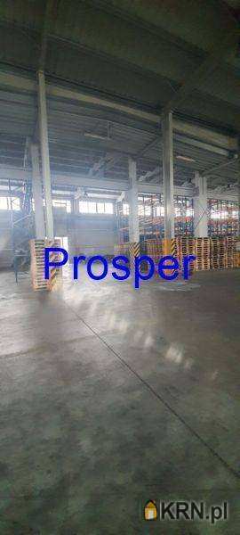 , Tychy, ul. , Lokal użytkowy  do wynajęcia