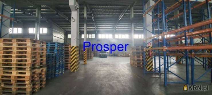 Prosper - Nieruchomości, Lokal użytkowy  do wynajęcia, Tychy, ul. 