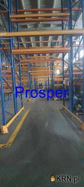 Lokal użytkowy  do wynajęcia, Tychy, ul. , 