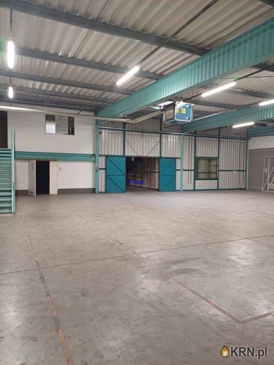 Lokal użytkowy  do wynajęcia, Sosnowiec, ul. , 