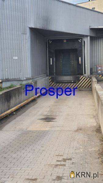 Sosnowiec, ul. , Lokal użytkowy  do wynajęcia, 