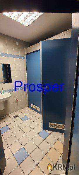 Sosnowiec, ul. , Lokal użytkowy  do wynajęcia, 