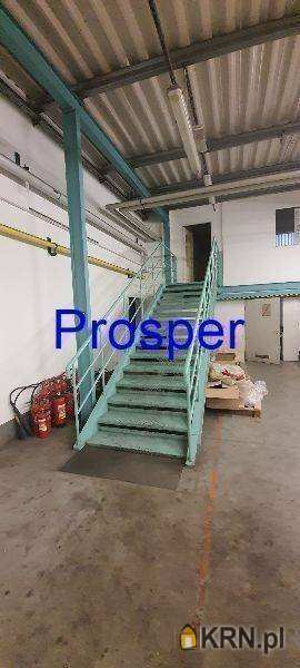 , Sosnowiec, ul. , Lokal użytkowy  do wynajęcia