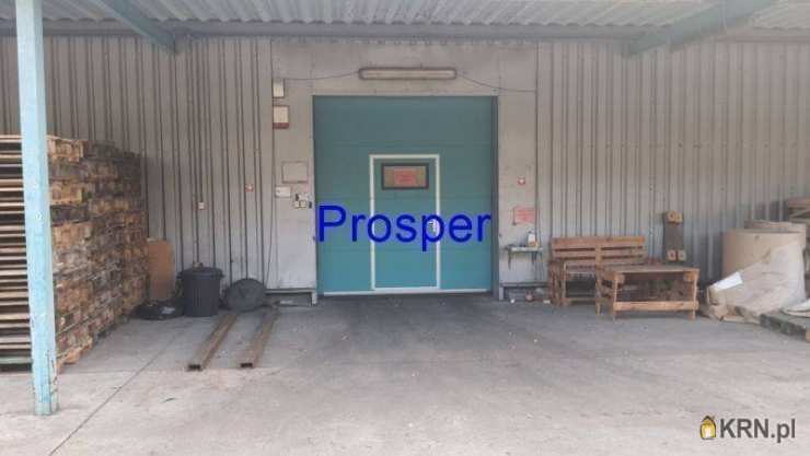 Lokal użytkowy  do wynajęcia, Sosnowiec, ul. , 