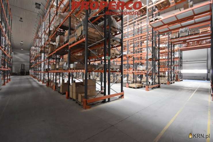 Łany, ul. , Lokal użytkowy  na sprzedaż, 