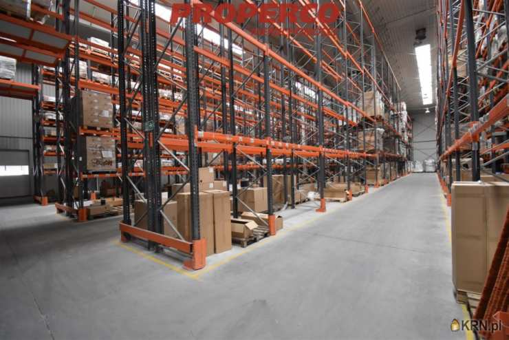 Łany, ul. , , Lokal użytkowy  na sprzedaż