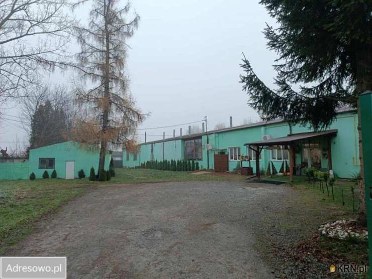 , Stodoły-Kolonie, ul. , Lokal użytkowy  na sprzedaż