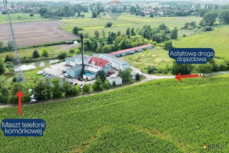 15 pokojowe, Lokal użytkowy  na sprzedaż, Wiązów, ul. 