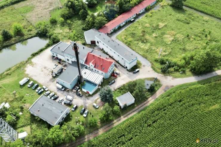 15 pokojowe, Wiązów, ul. , Lokal użytkowy  na sprzedaż