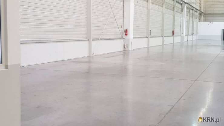 Lokal użytkowy  do wynajęcia, , Poznań, ul. 