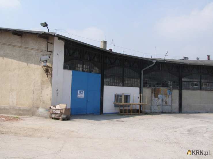 Racibórz, ul. T. Kościuszki, Lokal użytkowy  na sprzedaż, 10 pokojowe