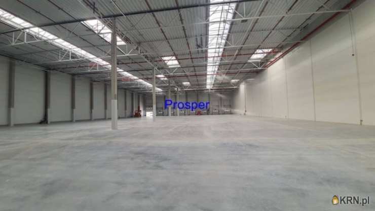 Lokal użytkowy  do wynajęcia, Zabrze, ul. , 