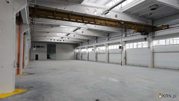 Lokal użytkowy  do wynajęcia, , Olkusz, ul. 