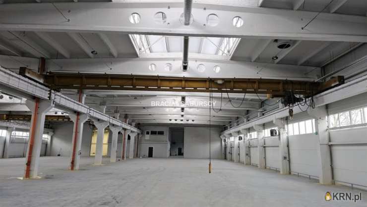 Olkusz, ul. , Lokal użytkowy  do wynajęcia, 