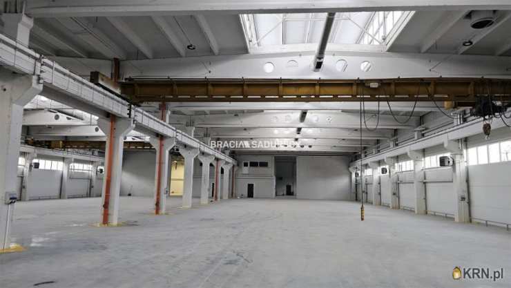 Olkusz, ul. , , Lokal użytkowy  do wynajęcia