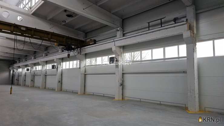 , Olkusz, ul. , Lokal użytkowy  do wynajęcia