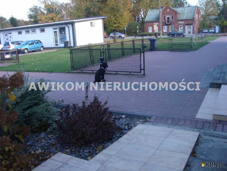 Lokal użytkowy  do wynajęcia, Jaktorów, ul. , 