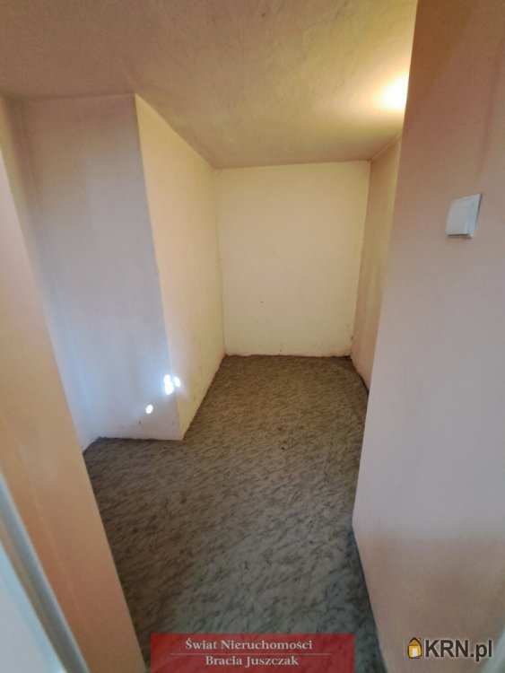 1 pokojowe, Wrocław, Śródmieście, ul. Grunwaldzki, Lokal użytkowy  do wynajęcia