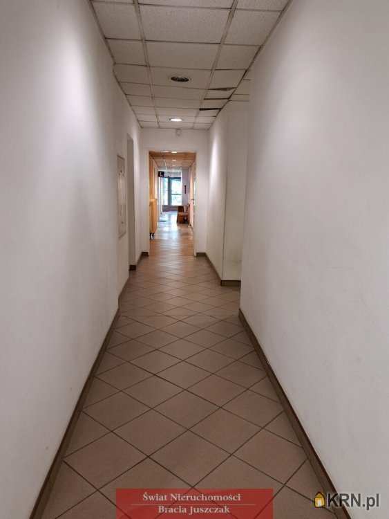Lokal użytkowy  do wynajęcia, 1 pokojowe, Wrocław, Śródmieście, ul. Grunwaldzki
