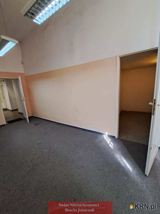 Wrocław, Śródmieście, ul. Grunwaldzki, 1 pokojowe, Lokal użytkowy  do wynajęcia