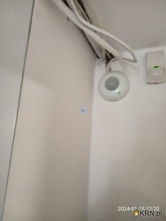 Gliwice, ul. , Lokal użytkowy  do wynajęcia, 6 pokojowe