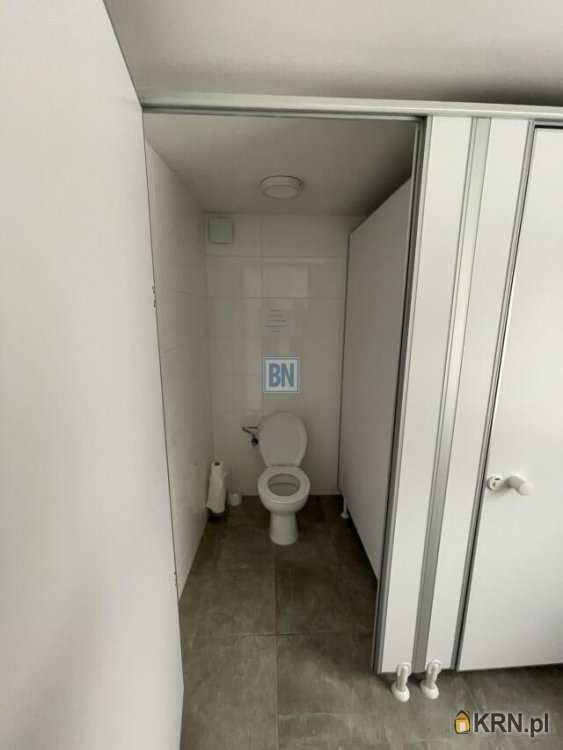 6 pokojowe, Gliwice, ul. , Lokal użytkowy  do wynajęcia