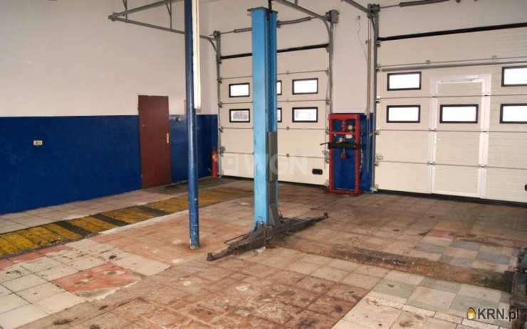 Inowrocław, ul. , Lokal użytkowy  do wynajęcia, 3 pokojowe