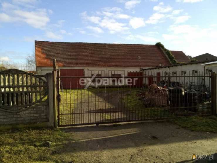 Lokal użytkowy  do wynajęcia, , Kowalów, ul. Słubicka