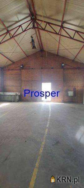 Lokal użytkowy  do wynajęcia, , Zabrze, ul. 