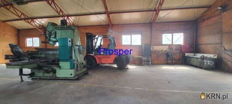 Zabrze, ul. , Lokal użytkowy  do wynajęcia, 