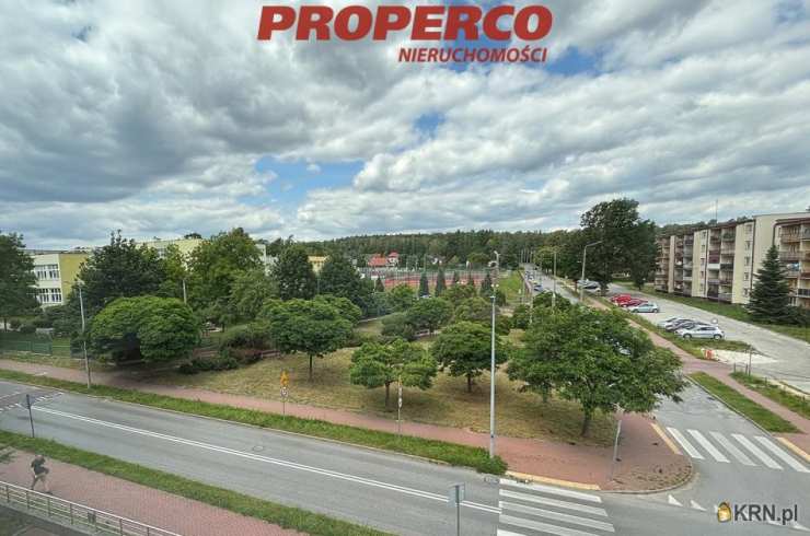 7 pokojowe, Skarżysko-Kamienna, ul. Spółdzielcza, Lokal użytkowy  na sprzedaż