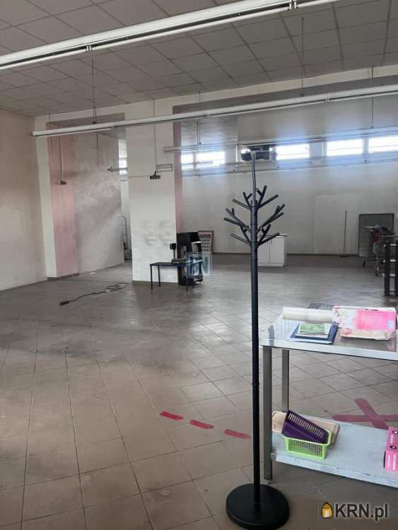 , Gliwice, ul. , Lokal użytkowy  do wynajęcia