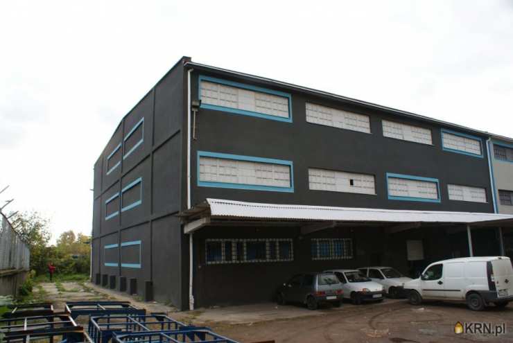 Sosnowiec, ul. Ptasia, Lokal użytkowy  do wynajęcia, 1 pokojowe