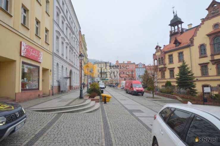 House Invest Nieruchomości Sp.z o.o., Lokal użytkowy  do wynajęcia, Nowa Ruda, ul. 