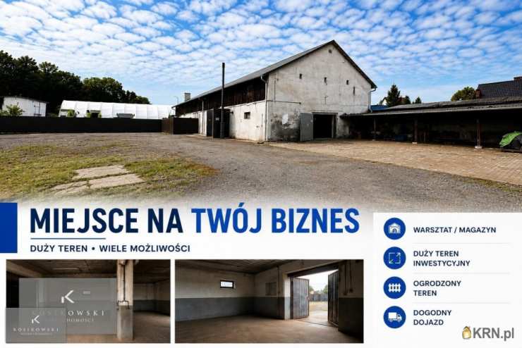 Lokal użytkowy  na sprzedaż, Dębnik, ul. , 
