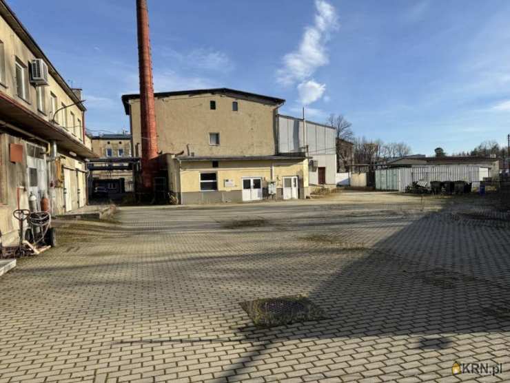 Lokal użytkowy  na sprzedaż, Prudnik, ul. , 