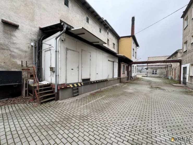 Prudnik, ul. , , Lokal użytkowy  na sprzedaż
