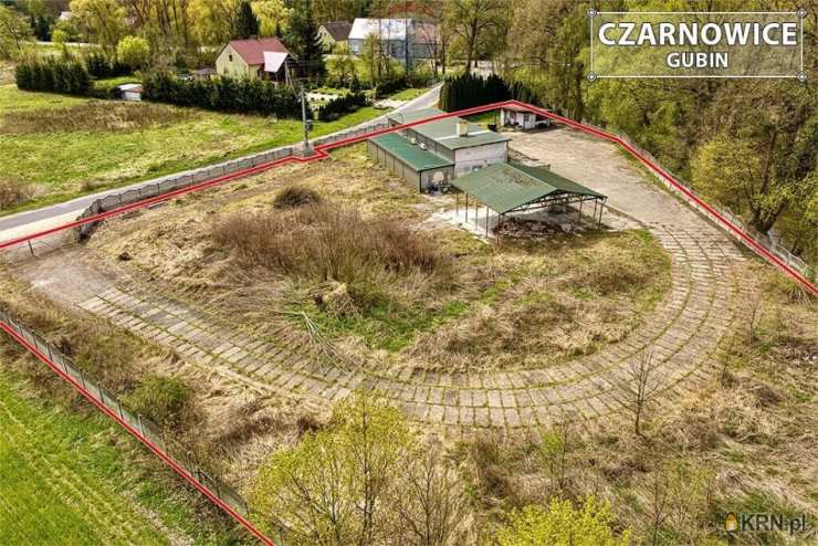 , Lokal użytkowy  na sprzedaż, Czarnowice, ul. 
