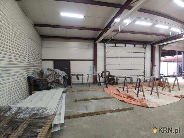 Gliwice, ul. , Lokal użytkowy  do wynajęcia, 1 pokojowe