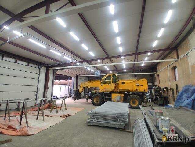 Gliwice, ul. , 1 pokojowe, Lokal użytkowy  do wynajęcia